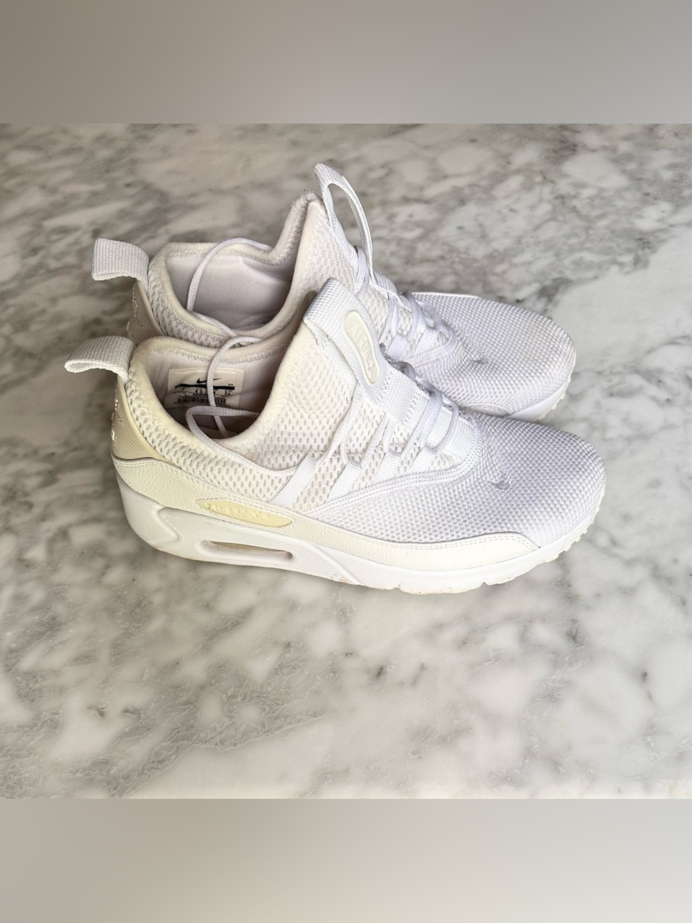 Nike Air Max Sneakers